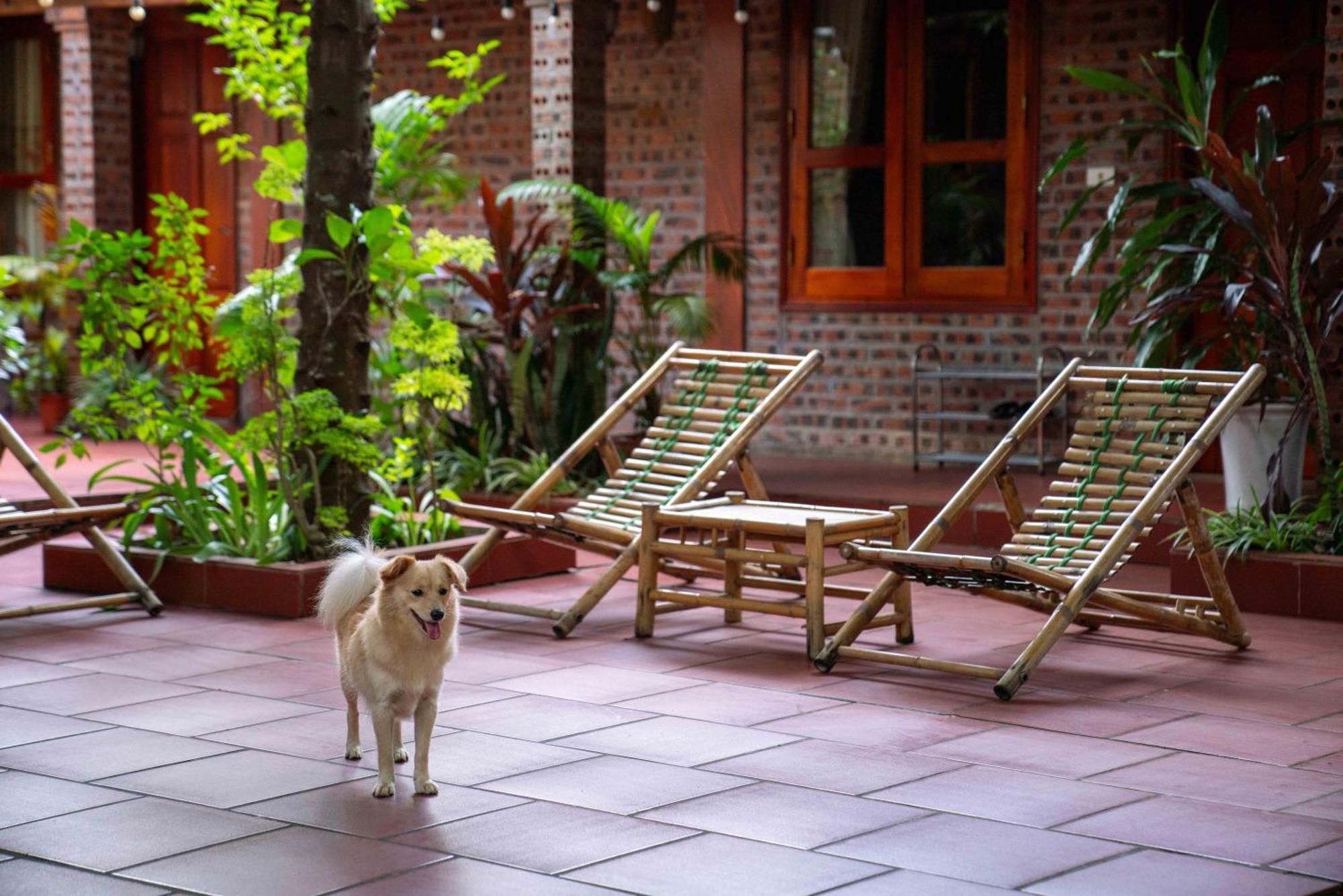 Tam Family Homestay Νιν Μπιν Εξωτερικό φωτογραφία